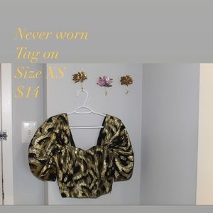 Zara embroidered crop top with puff sleeve